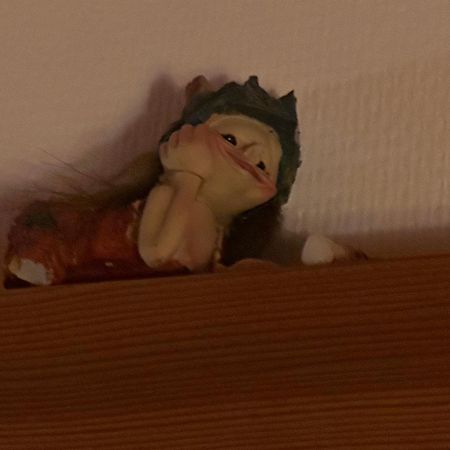 Trollhus - Grosses Familienfreundliches Ferienhaus Born Bagian luar foto