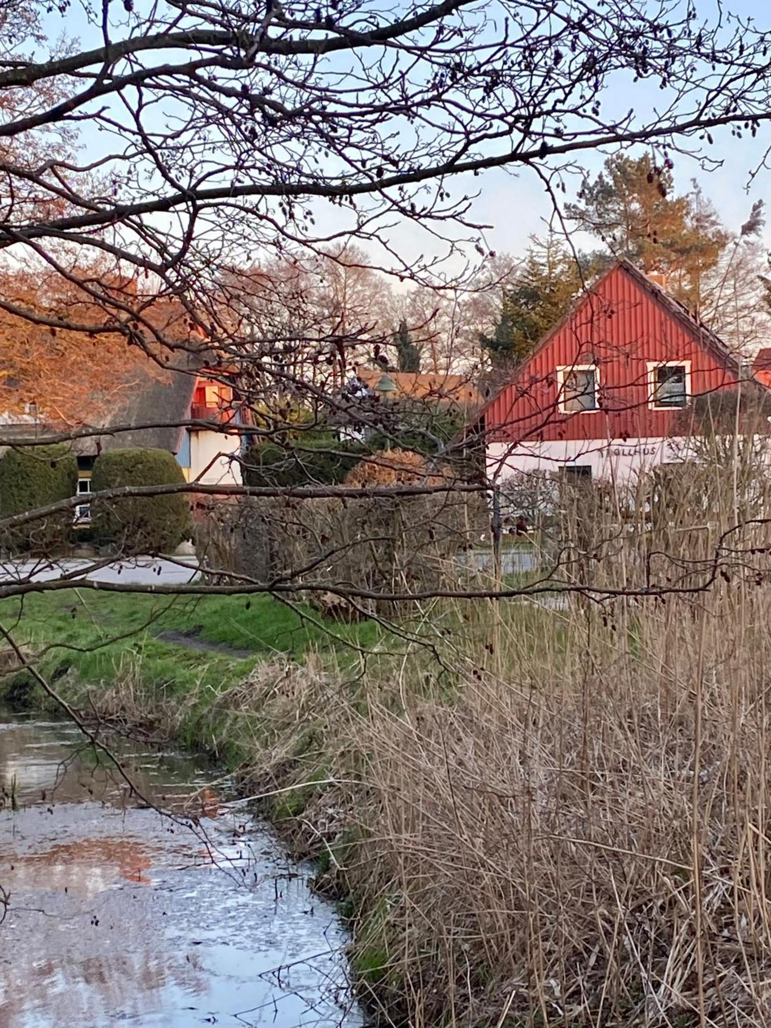 Trollhus - Grosses Familienfreundliches Ferienhaus Born Bagian luar foto